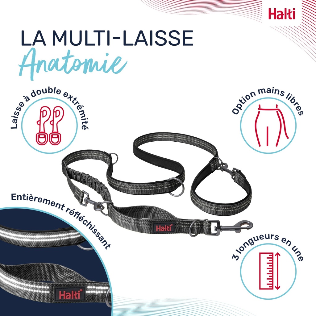 LAISSE MULTI POSITION ANATOMY HALTI GRIS SMALL