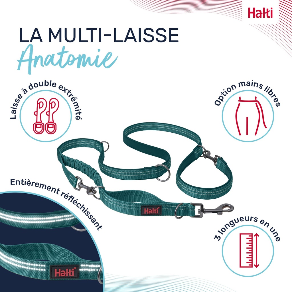LAISSE MULTI POSITION ANATOMY HALTI VERT SMALL