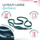 LAISSE MULTI POSITION ANATOMY HALTI VERT SMALL