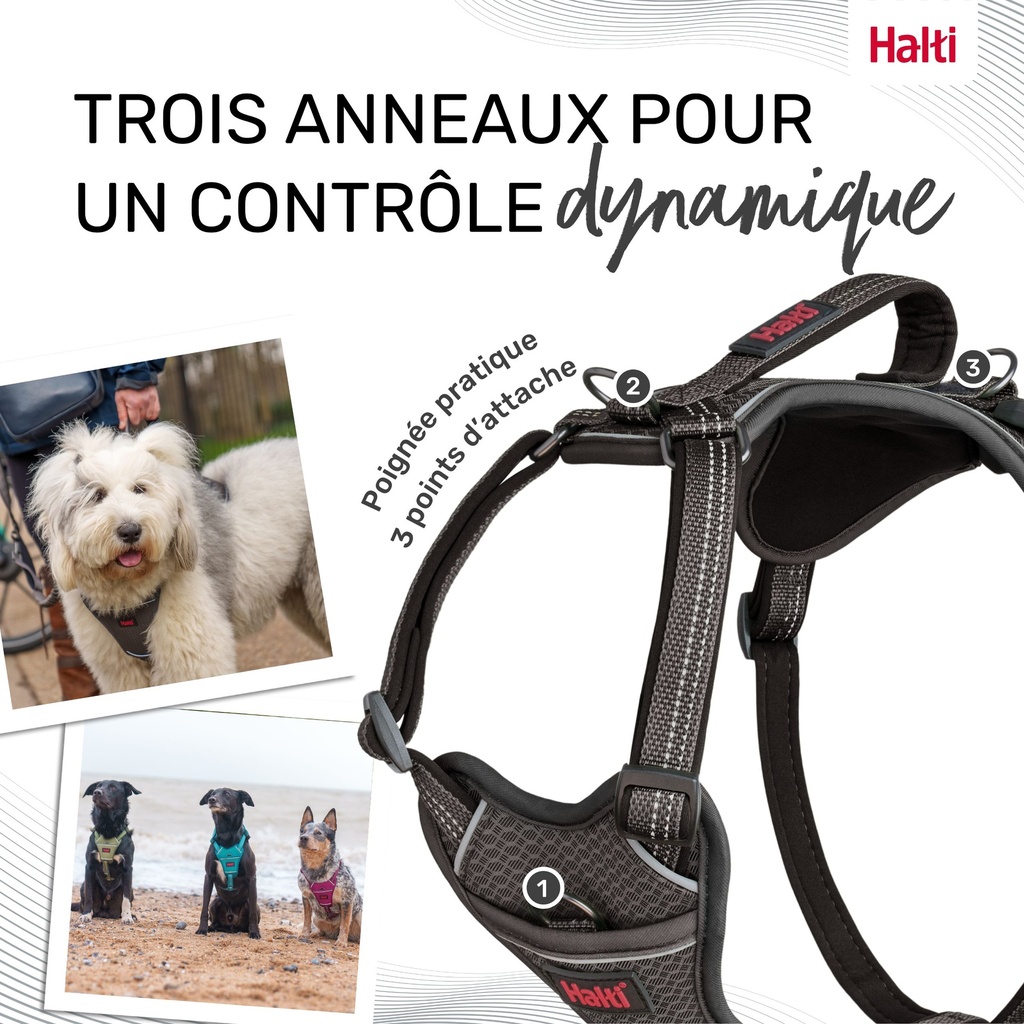 HARNAIS ANATOMY HALTI GRIS X-SMALL 20-32CM