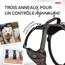 HARNAIS ANATOMY HALTI GRIS X-SMALL 20-32CM