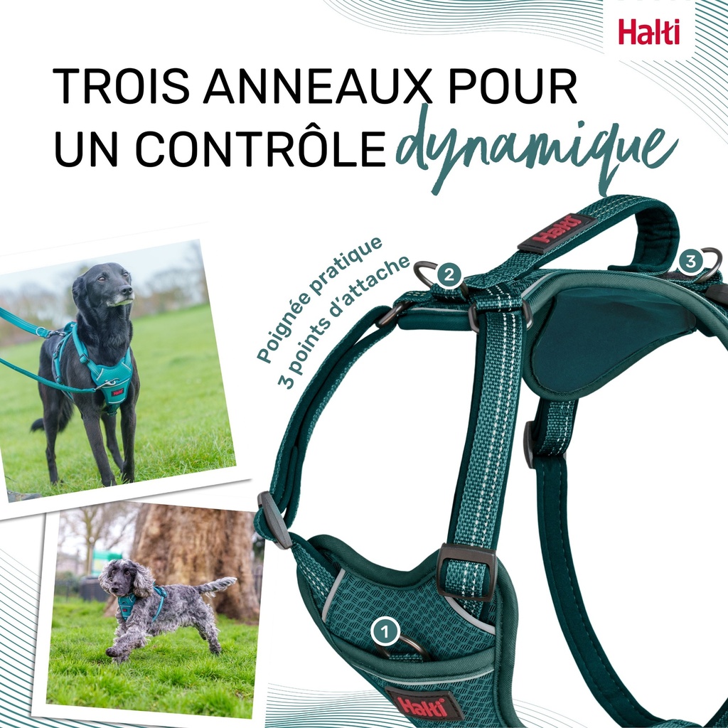HARNAIS ANATOMY HALTI VERT X-SMALL 20-32CM