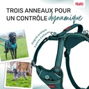 HARNAIS ANATOMY HALTI VERT X-SMALL 20-32CM