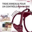 HARNAIS ANATOMY HALTI MAGENTA X-SMALL 20-32CM