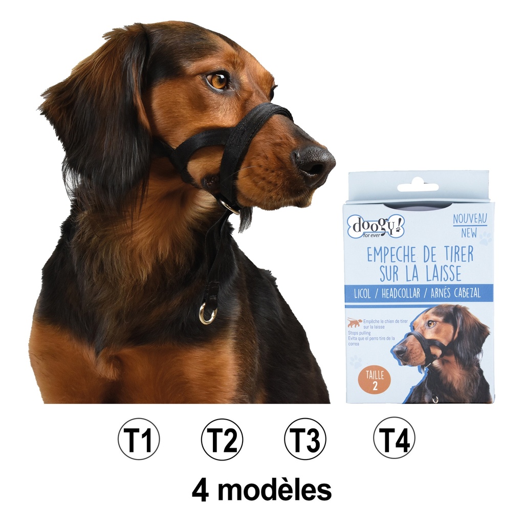 LICOL DOOGY T1