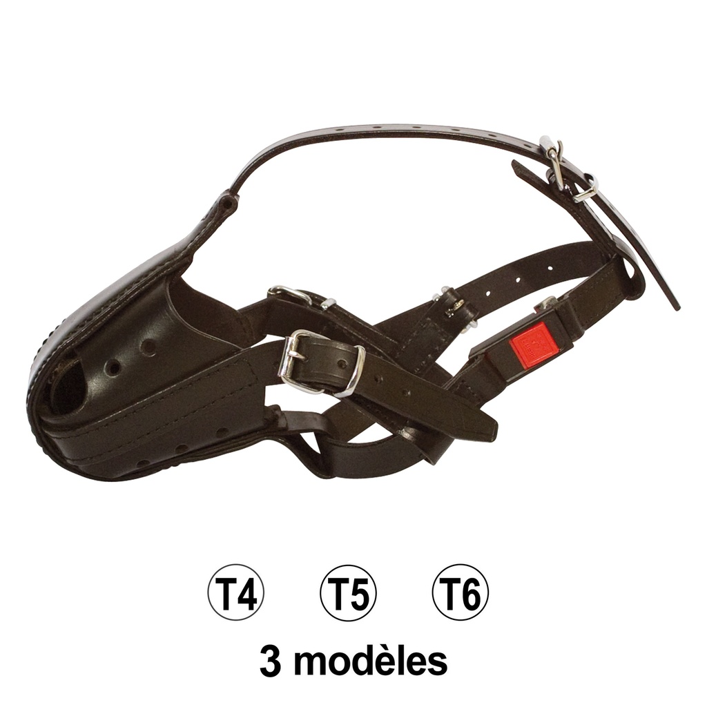 MUSELIERE DE FRAPPE T 4 DPF/DPC 09/25