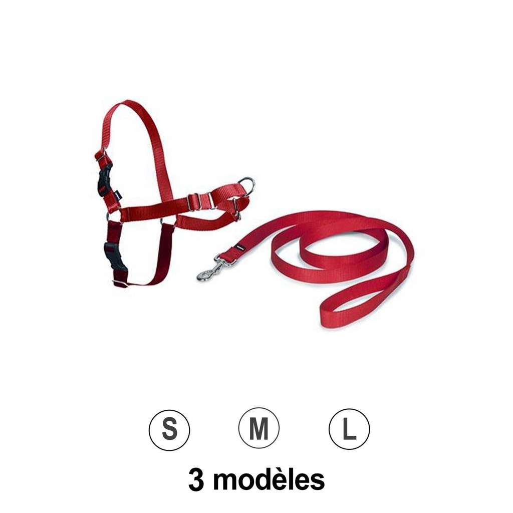 EASY WALK HARNAIS S ROUGE tr de poitrail 38-51CM