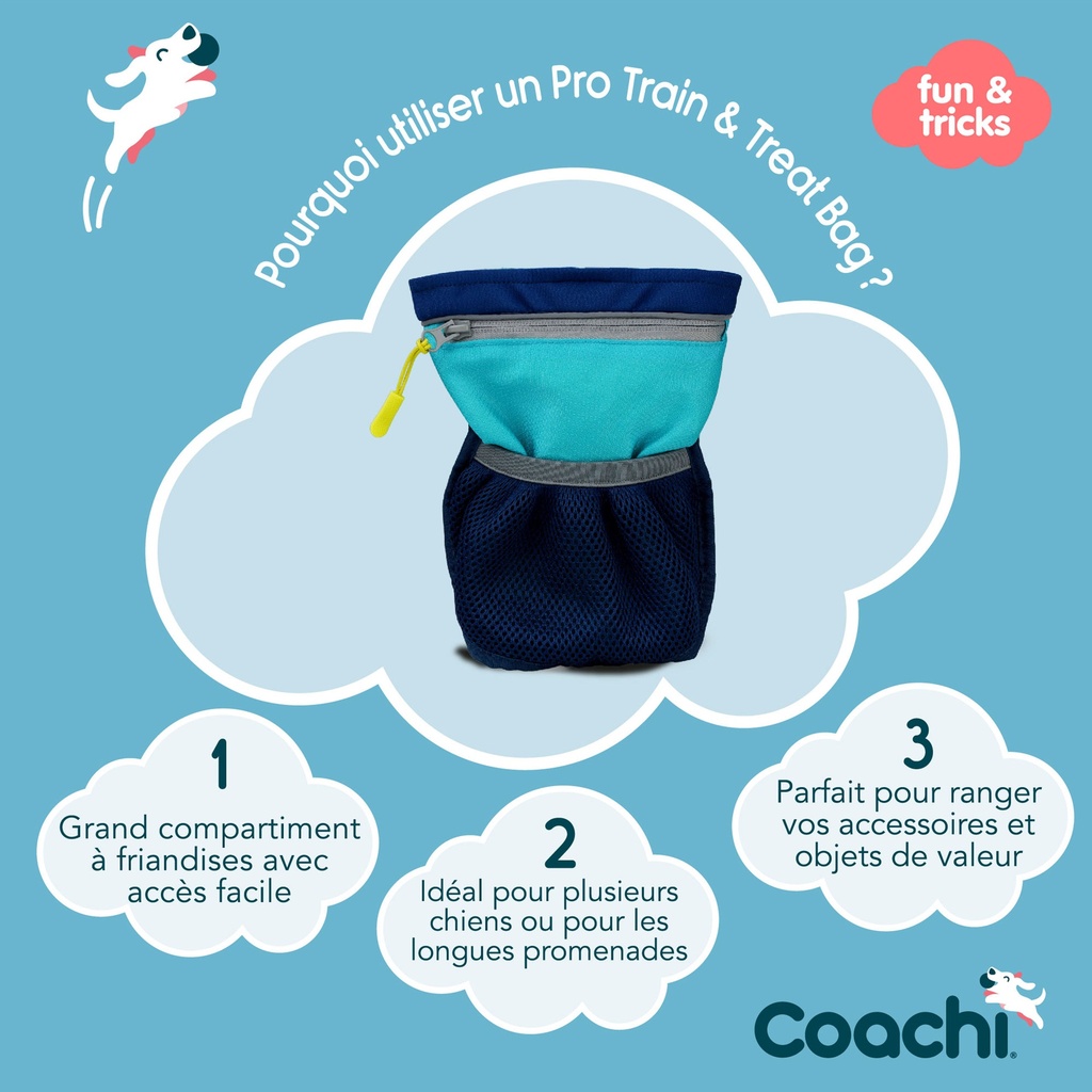 SACOCHE A FRIANDISES COACHI BLEUE